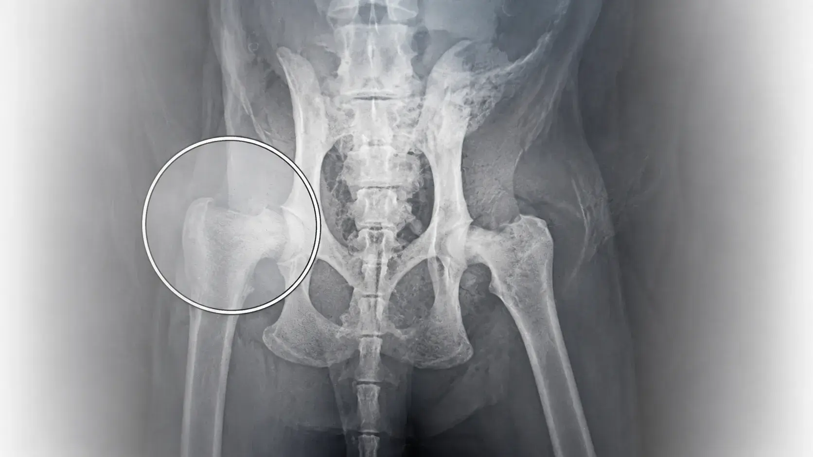 MRI, CT & Diagnostika — 2